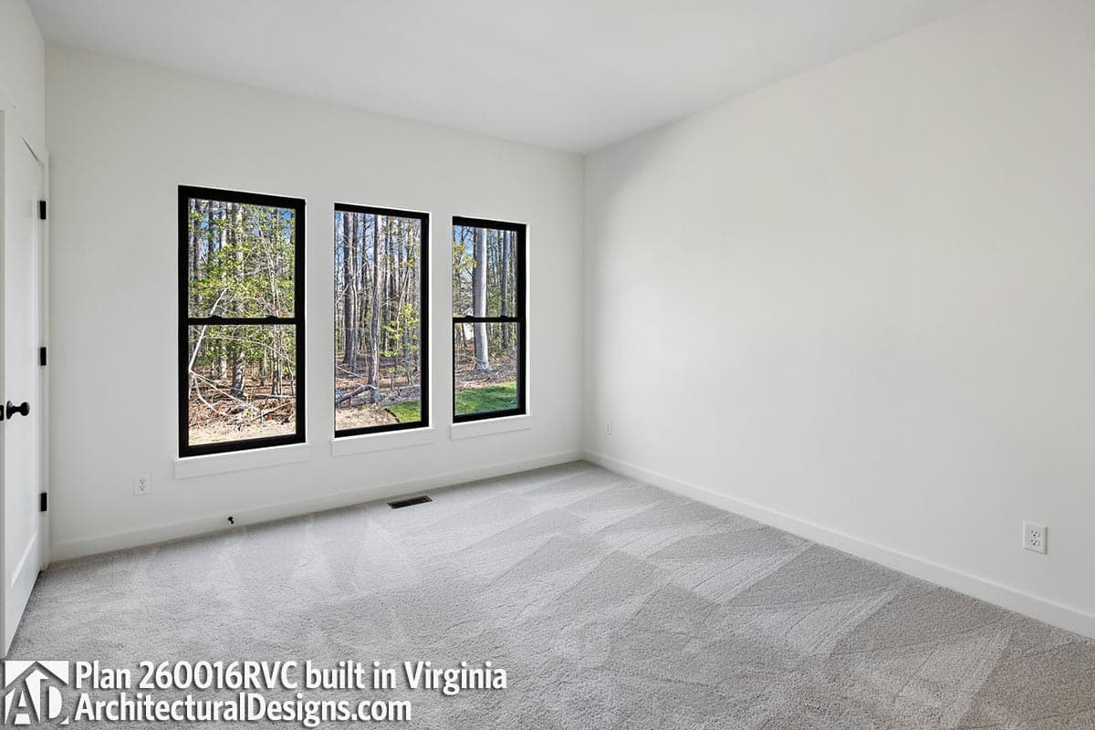 Client Photo id:  452624