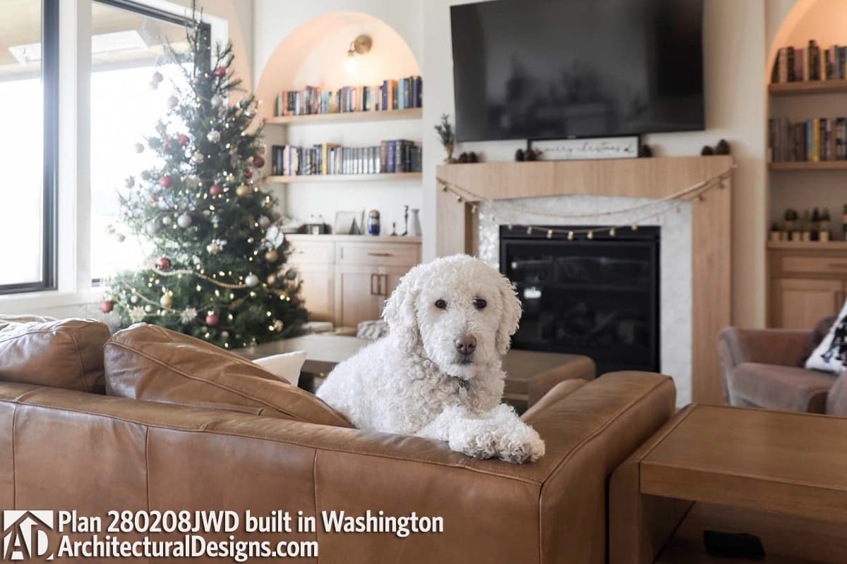 Client Photo id:  549567