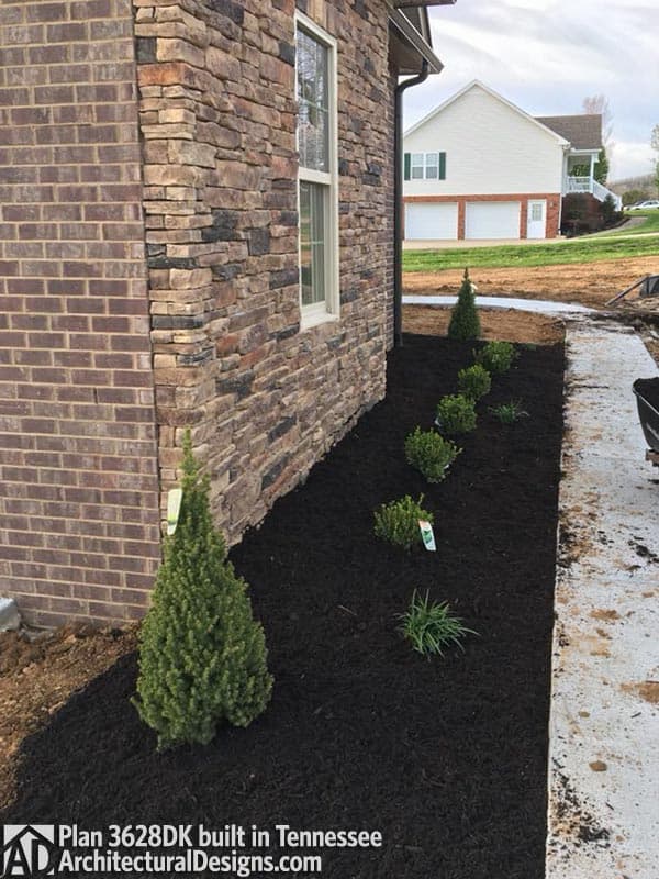 Client Photo id:  271029