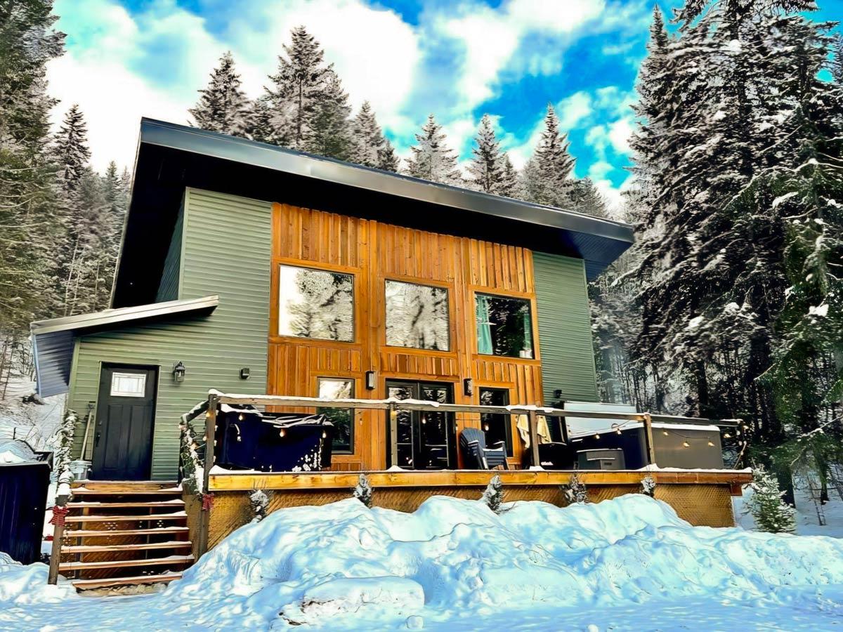 Modern house plan exterior with green siding, wood accents, large windows, and a sloped roof.