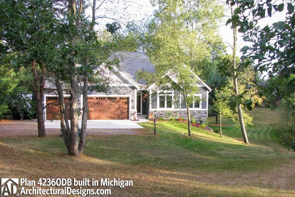 Client Photo id:  224946