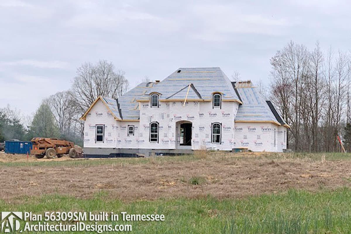 Client Photo id:  310080