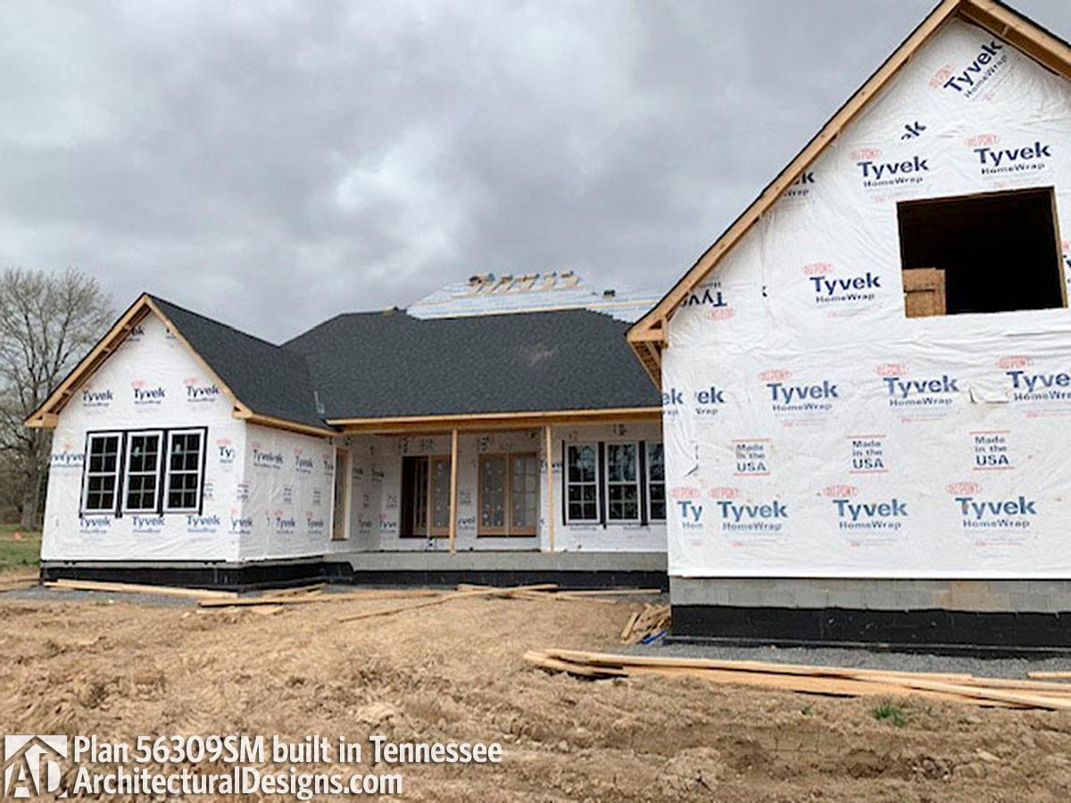 Client Photo id:  310081