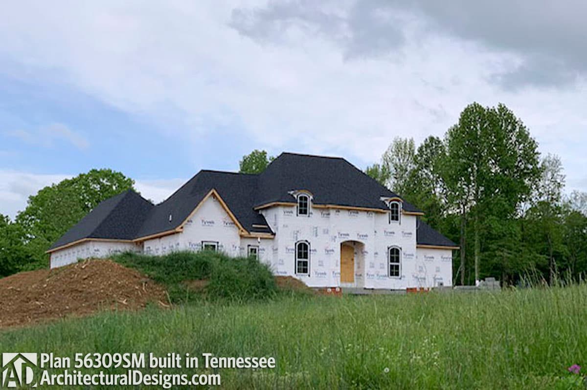 Client Photo id:  310083