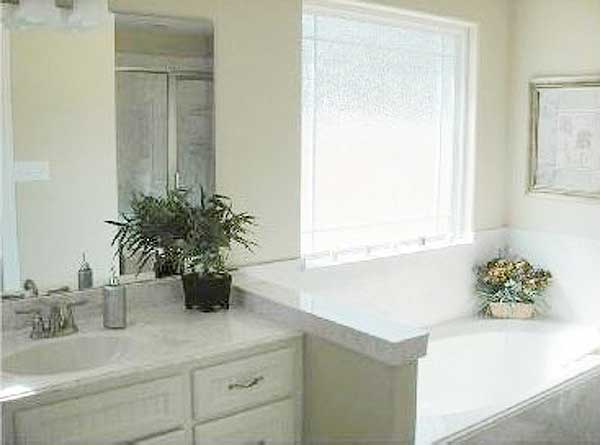 Bathroom with double vanity, tub, and shower. Features a large frosted window and decorative plants.