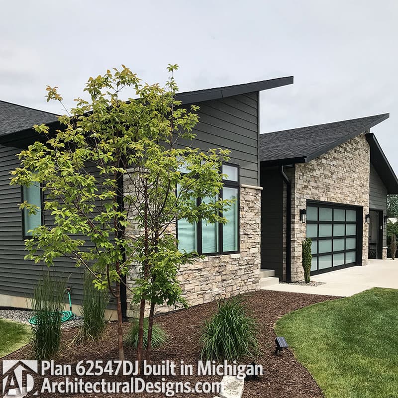 Client Photo id:  321250