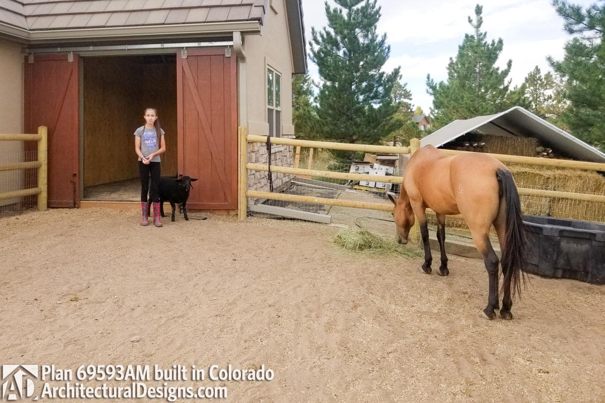 Client Photo id:  301313