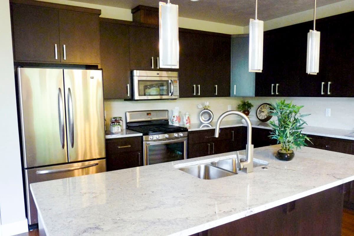 Modern kitchen with dark cabinetry, stainless steel appliances, and a large island with a double sink and gooseneck faucet.