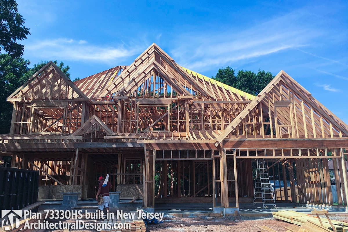 Client Photo id:  242604