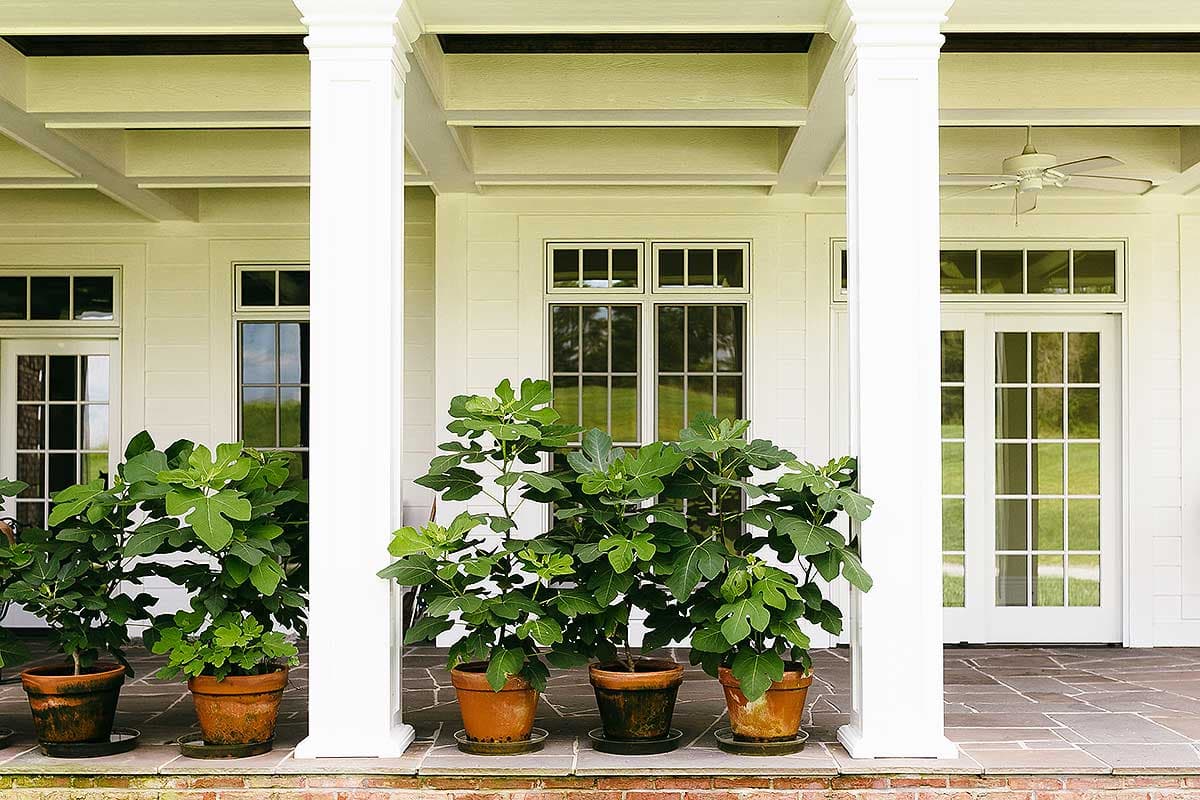 Plan 77602FB: Exclusive 4 Bed Country Dream Home Plan - Image #11 - Country, Southern