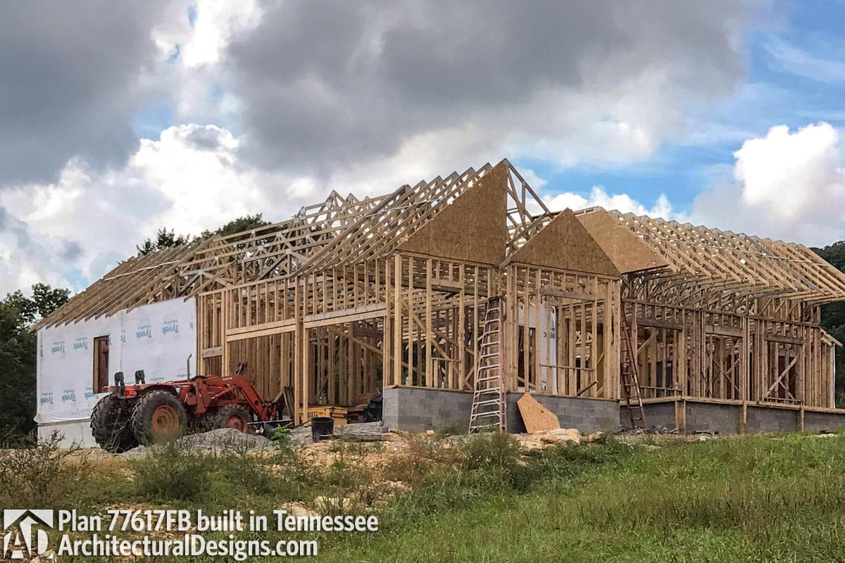 Client Photo id:  271486