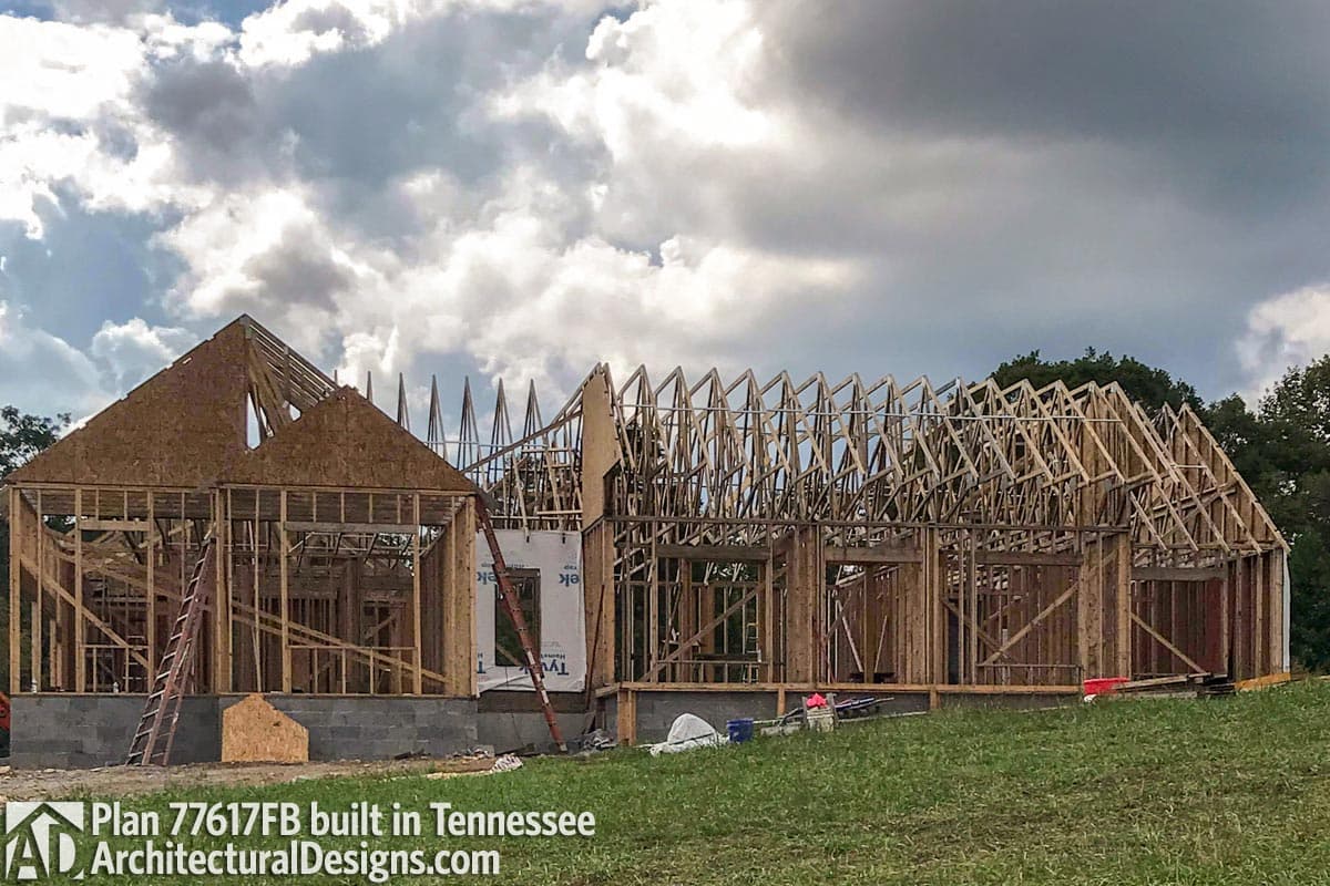 Client Photo id:  271487