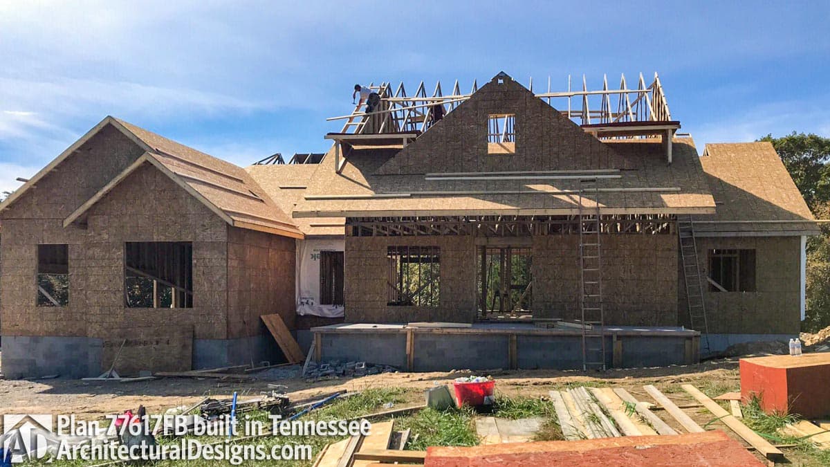 Client Photo id:  271489