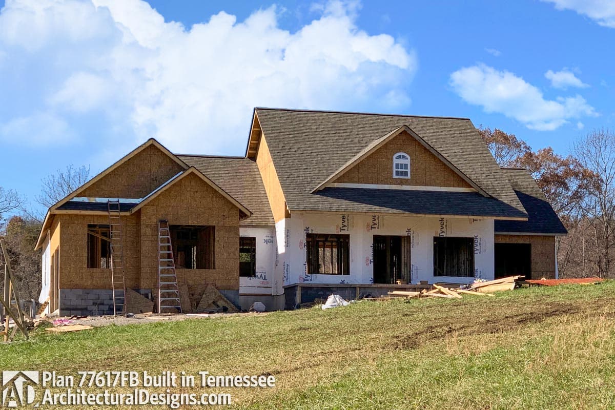 Client Photo id:  271490