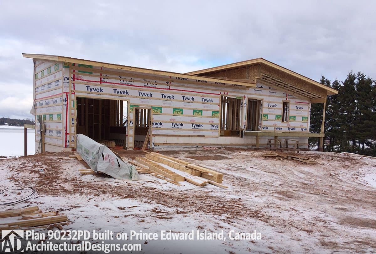 Client Photo id:  204439