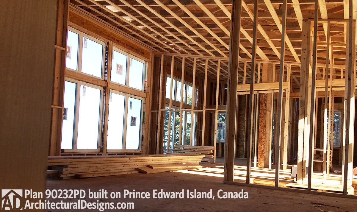 Client Photo id:  204441