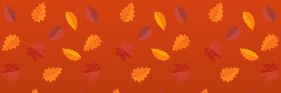 Advertised Sale Banner - SAVE 15% ON SELECT PLANS!